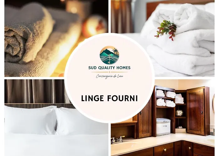 Apartment Brise Marine 4 - T1 - Cozy - Centre - Terrasse