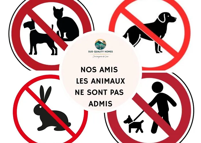 Apartment Brise Marine 4 - T1 - Cozy - Centre - Terrasse Perpignan